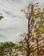 Titel: Nature vivante 09, Kunstenaar: Laurent, Sma�l