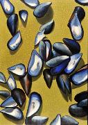 Titel: Moules ocres, Kunstenaar: DETREE, D�tr�e