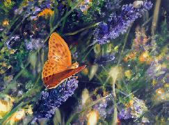 Titre: Papillon, Artiste: Everard de Harzir, Anne