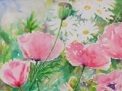 Titel: Coquelicots roses, graines et marguerites, Kunstenaar: Everard de Harzir, Anne