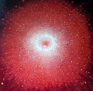 Titel: Fleur de cosmos, Kunstenaar: BESSON, Marie-H�l�ne