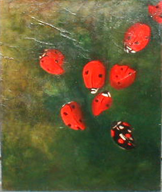 Titel: Coccinelles, Kunstenaar: Fahy-Moitel, Raphaelle